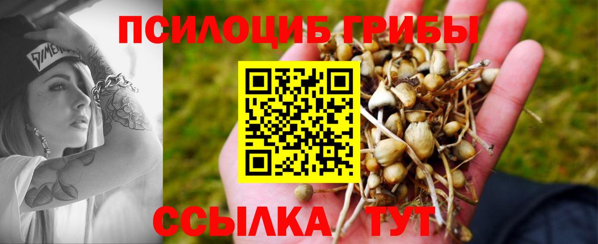 Галлюциногенные грибы прущие грибы Канаш