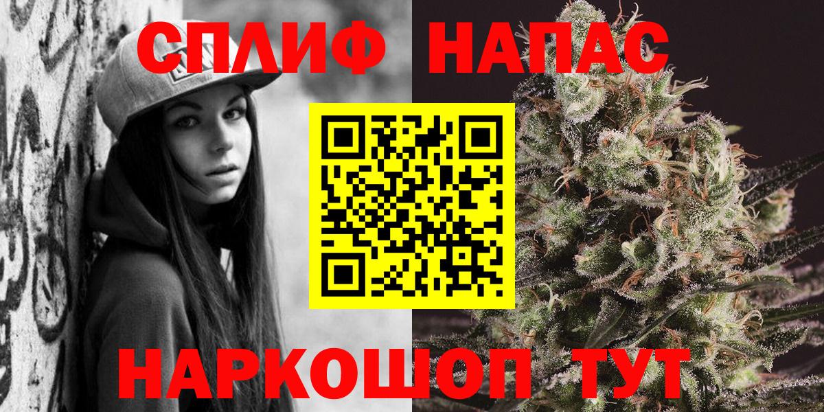 Канаш  Канабис MAZAR  Конопля ГИДРОПОН  Каннабис планчик  Вход с VPN 